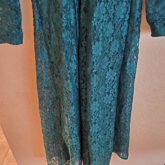 Vintage 70s Green Lace Button Sheer Boho Dress - Picture 5 of 6